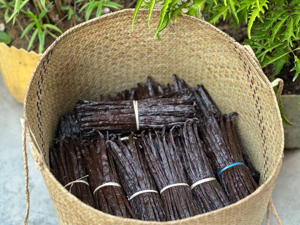 VANILLE FÜR PRIVAT- UND GEWERBEKUNDEN