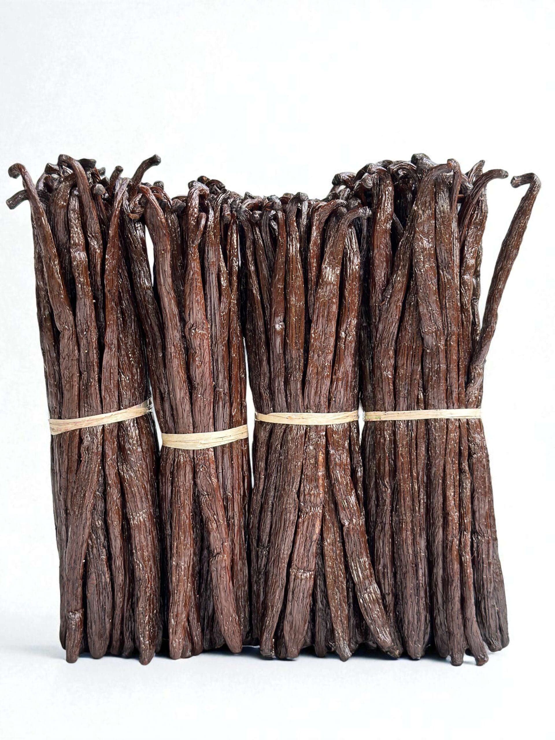 anilleschoten_1kg_18_20cm